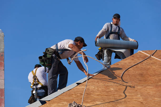 Quick and Trustworthy Emergency Roof Repair Services in Shelbyville, IL
