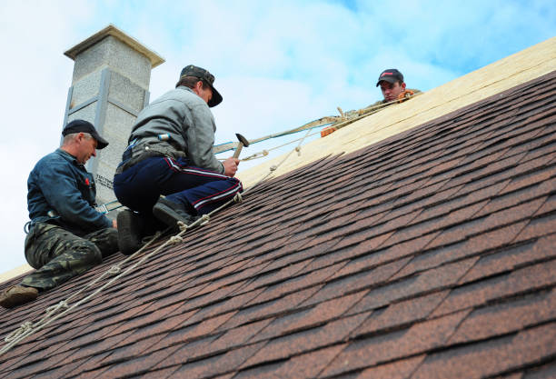 Best Emergency Roof Repair  in Shelbyvle, IL